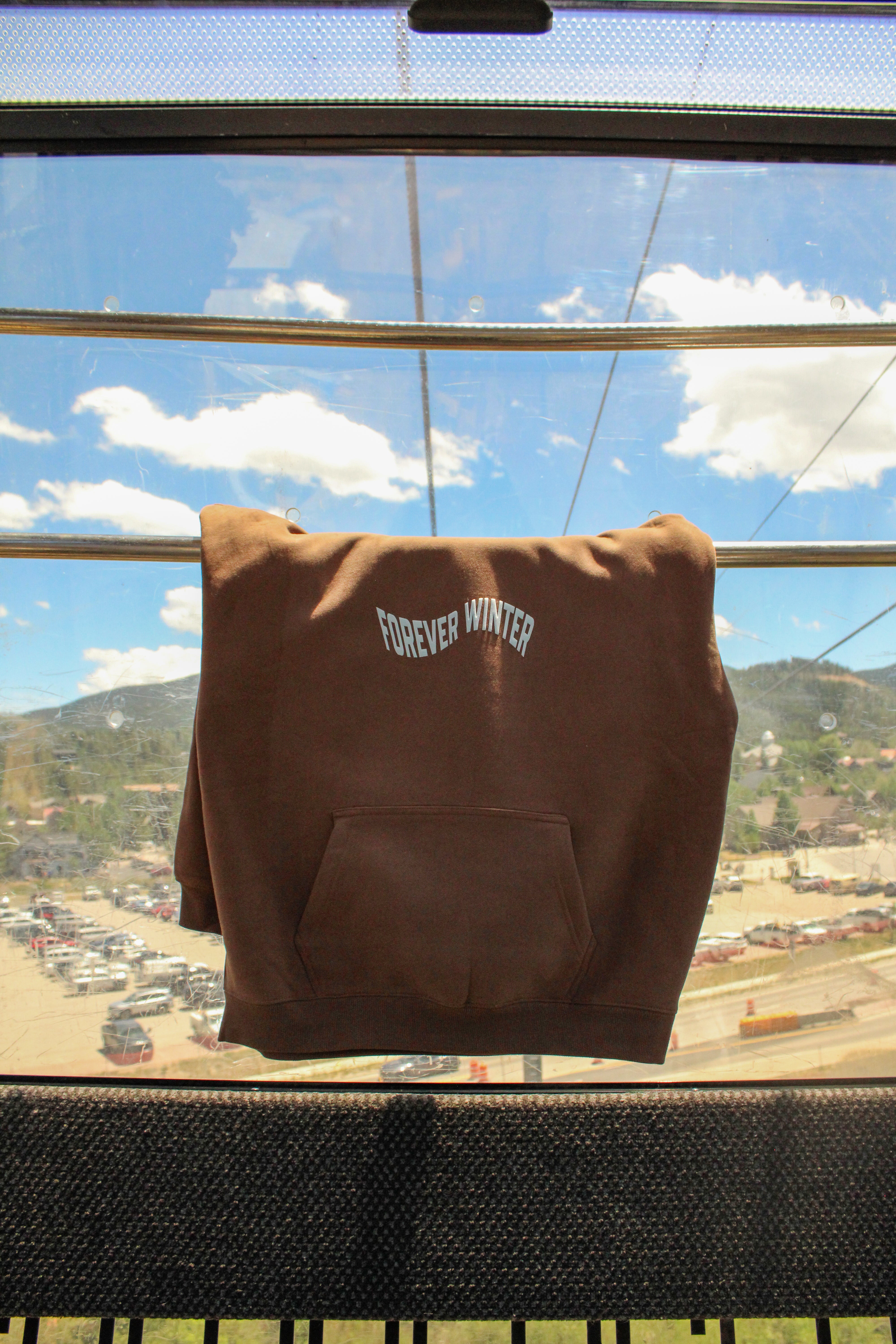 Forever Cozy Hoodie - Trail-stone Brown (Men's)-3