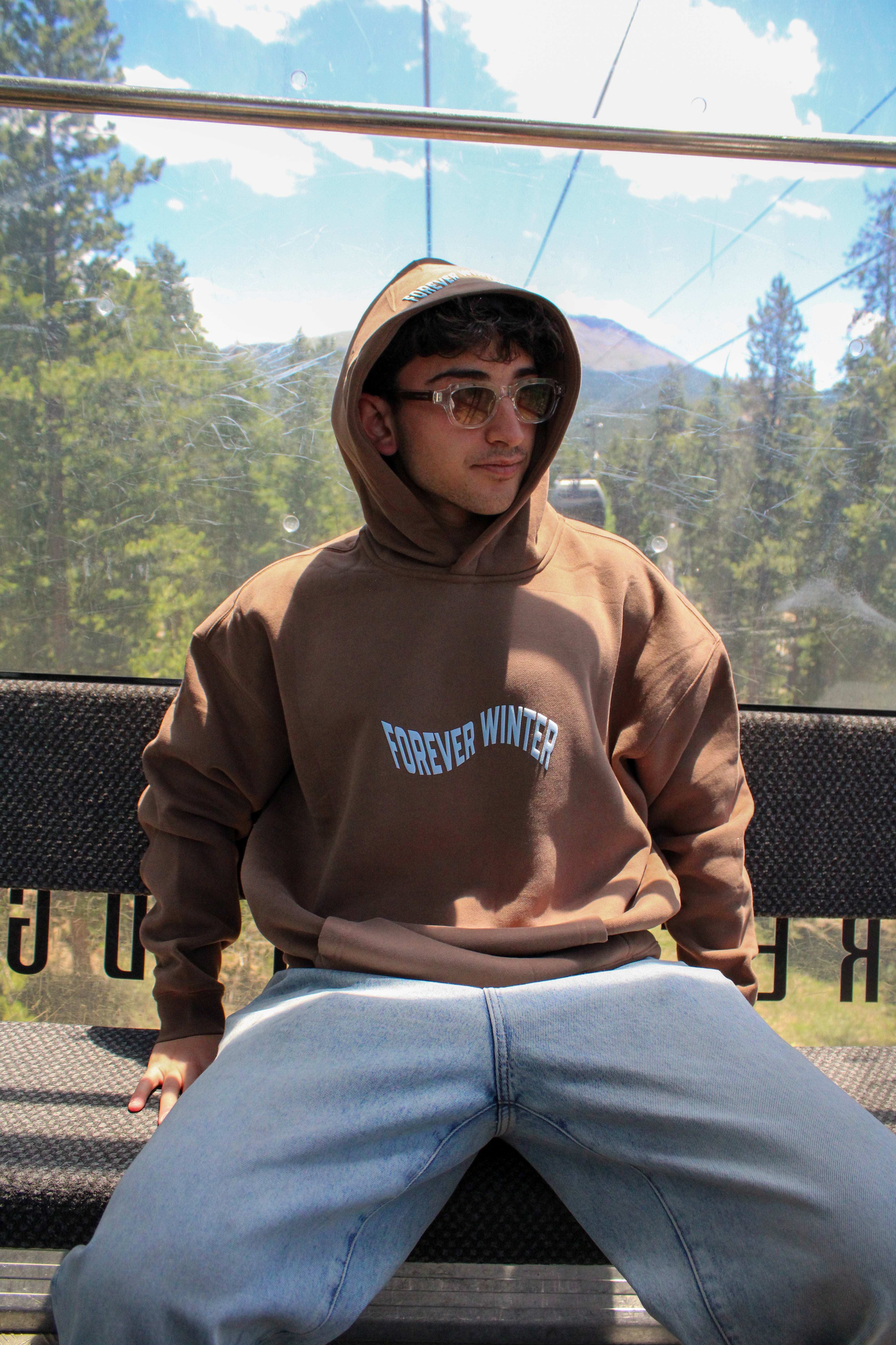 Forever Cozy Hoodie - Trail-stone Brown (Men's)